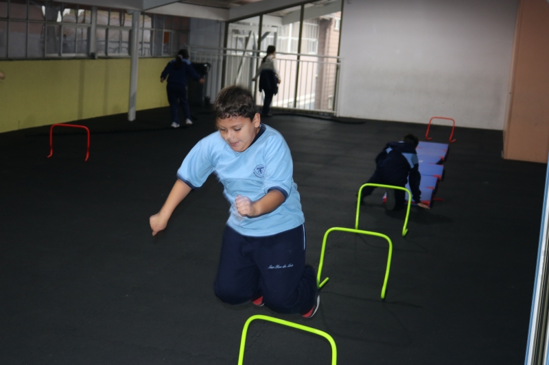 Día de la Actividad Física